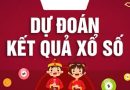 Dự đoán xổ số Đồng Tháp 20/11/2023 – Soi cầu DT chuẩn xác