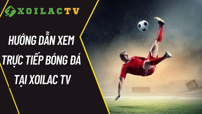 Hướng dẫn xem trực tiếp bóng đá tại Xoilac TV