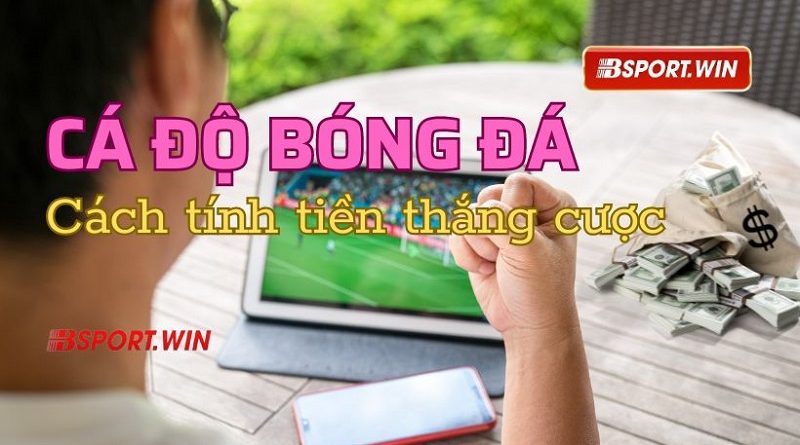 Bsport hướng dẫn chi tiết cách tính tiền trong cá độ bóng đá