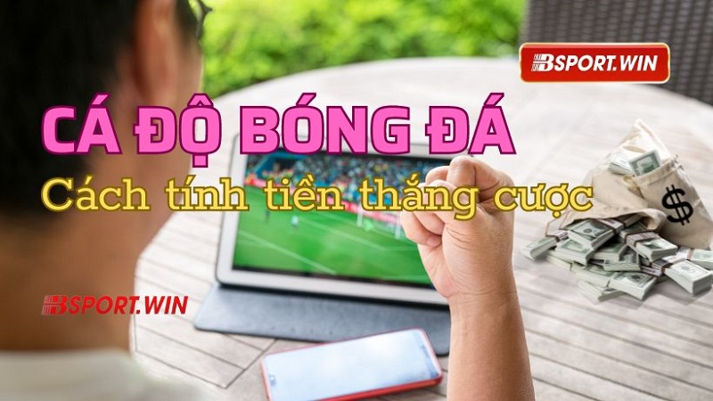 Cách tính tiền cá độ bóng đá khi chiến thắng