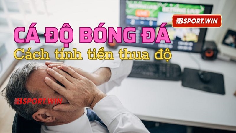 Cách tính tiền trong cá độ bóng đá khi cược thua