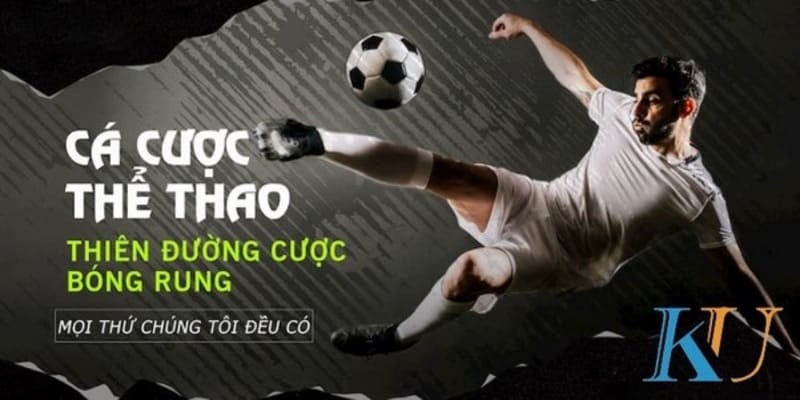 Link trực tiếp thể thao chất lượng cao