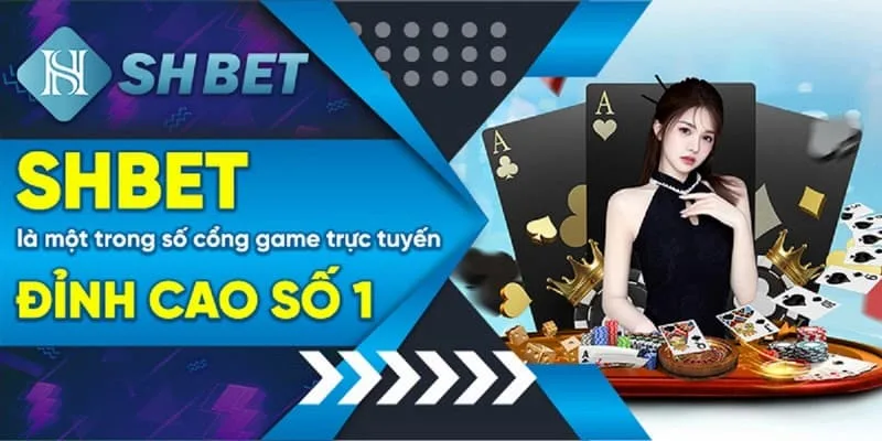 Cách Kiểm Tra Giấy Phép Hoạt Động Của SHBET