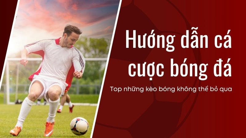 Bảng kèo châu Á và châu Âu với tỷ lệ rõ ràng, dễ hiểu.