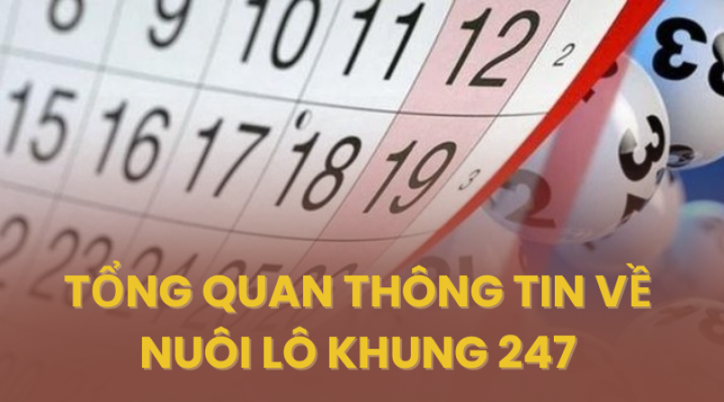Nuôi Lô Khung 247 Là Gì? Cách Áp Dụng Chuẩn Xác Để Dễ Trúng 