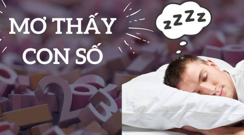 Giải mã sổ mơ lô đề là gì và cách sử dụng hiệu quả